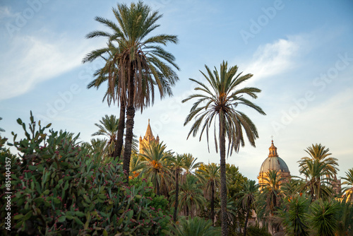 Public garden Villa Bonanno in Palermo, Sicily, Italy. The dome of Palermo Cathedral rises elegantly above a dense grove of palm trees under a soft sky photo