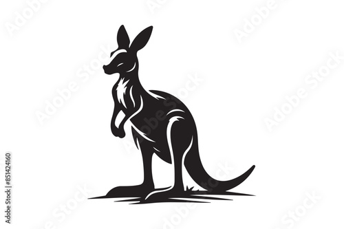 Kangaro vector art illustration