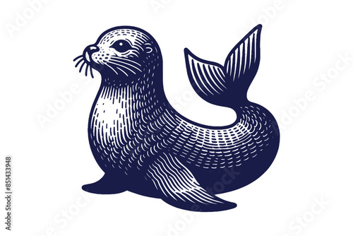 Cute seal. Vintage retro engraving illustration. Black icon, isolated element. Art vector illustration	