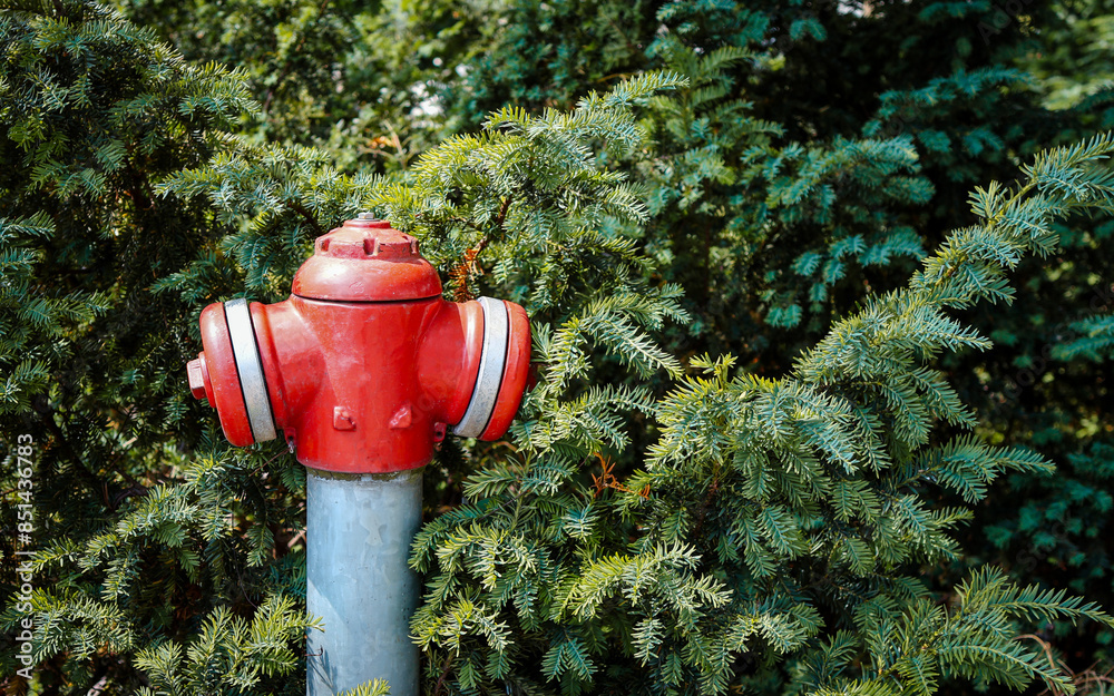 Red fire hydrant. Bushes. Trees. Hydrant Red fire hydrant. Bushes. Trees. Hydrant