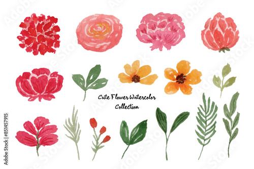 Beautiful Flower and Leaf Watercolor Collection