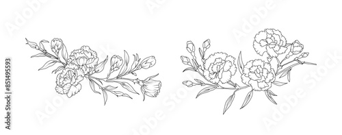 Carnation flower arrangement line art on white background. Silhouette botanical hand drawn element for wedding, invitation frame design, vector illustration