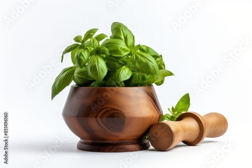 Fresh oregano herbs ceramic pot on white background photo