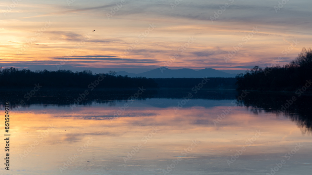 Landscape with mountain reflecting in water at sunset, forest silhouette and bird flying in sky Landscape with mountain reflecting in water at sunset, forest silhouette and bird flying in sky