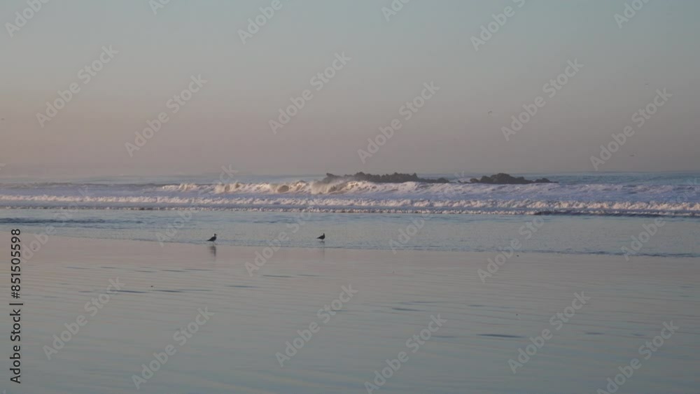 A view of the rocky shoreline in Essaouira, Morocco, with waves crashing against the rocks in the foreground. The rocky terrain is covered in seaweed and tidal pools.