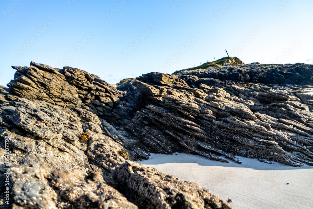 Black lichen growing on a stone at the west coast of County DOnegal, Ireland