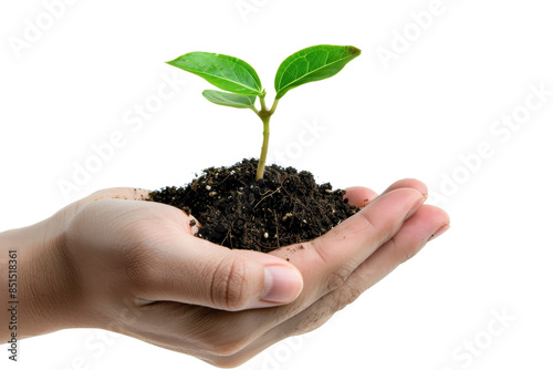 A small green plant with fresh leaves growing in soil, being gently held in human hands, symbolizing care and growth. © Sodapeaw