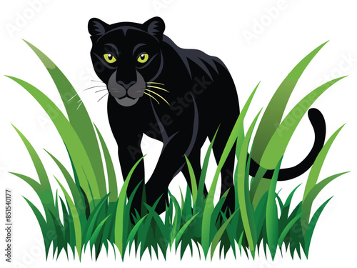 a black panther stalking through long grass H.eps