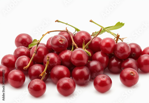 Cranberry, isolated on white background