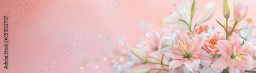 White and pink lilies on a pastel pink background.