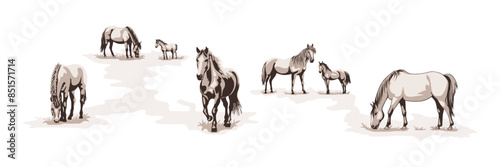 A sketch of horses grazing in a meadow, vector illustration	