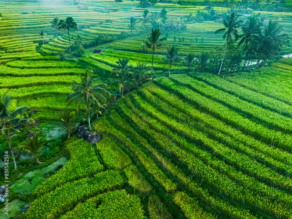 Jatiluwih Rice Terraces in Penebel district, Bali, Indonesia Jatiluwih Rice Terraces in Penebel district, Bali, Indonesia