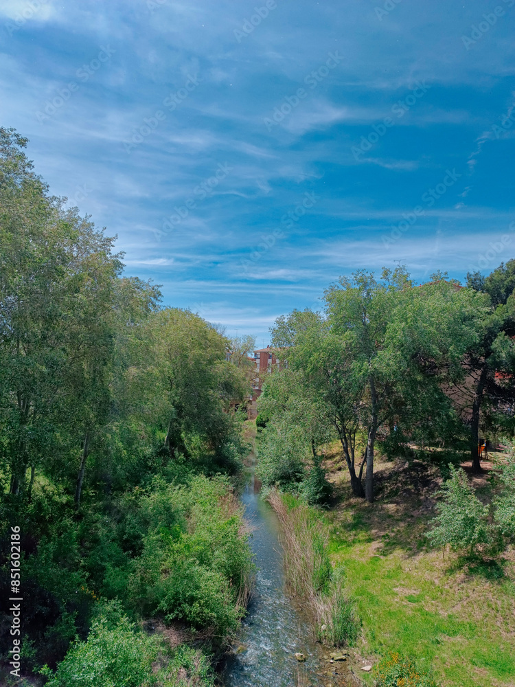 Obraz premium road in the forest