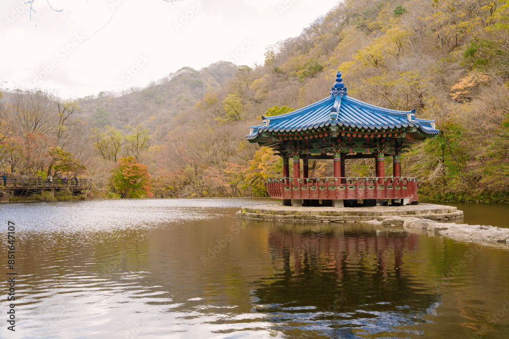 the autumnal beauty of Naejangsan National Park in Korea, with a tranquil lake reflecting a traditional Korean pavilion amidst vibrant fall foliage. the autumnal beauty of Naejangsan National Park in Korea, with a tranquil lake reflecting a traditional Korean pavilion amidst vibrant fall foliage.