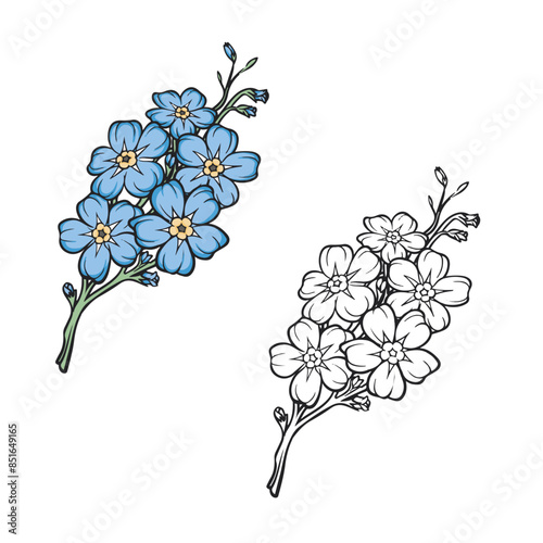 forget me not drawing with line art style. Easy to edit. Cartoon flower Vector illustration