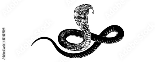 snake silhouette vector 