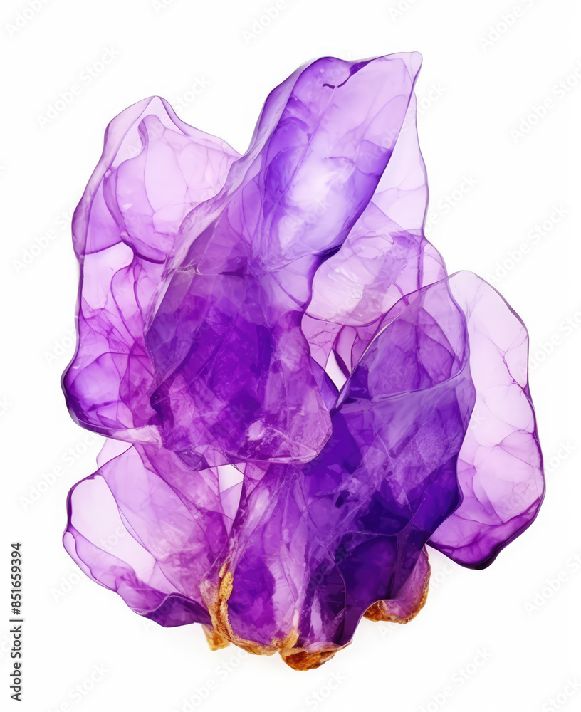 Fototapeta premium Abstract watercolor background, shape, design element. Colorful hand painted texture. abstract splash background