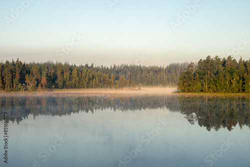 fog on a forest lake