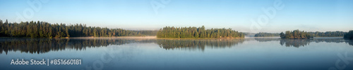 forest lake on a summer morning