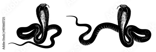 snake silhouette vector