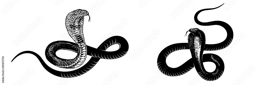 snake silhouette vector snake silhouette vector