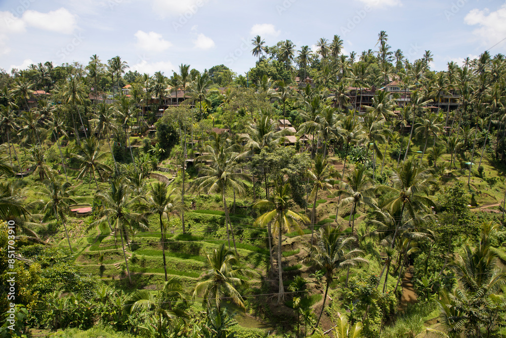Beautiful view of rice terraces in Bali, Indonesia