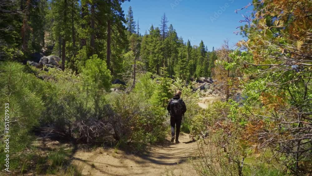 Tourist with a backpack hiking along a trail surrounded by trees near Lake Tahoe, California. 4K UHD video. Tourist with a backpack hiking along a trail surrounded by trees near Lake Tahoe, California. 4K UHD video.