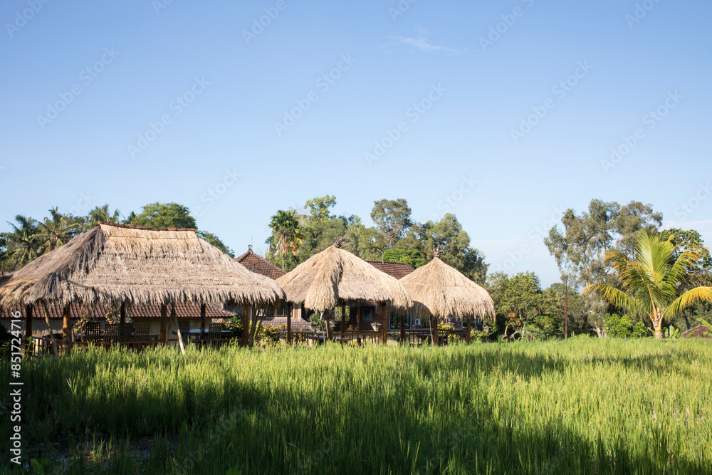 Beautiful view of a typical Bali village, Indonesia