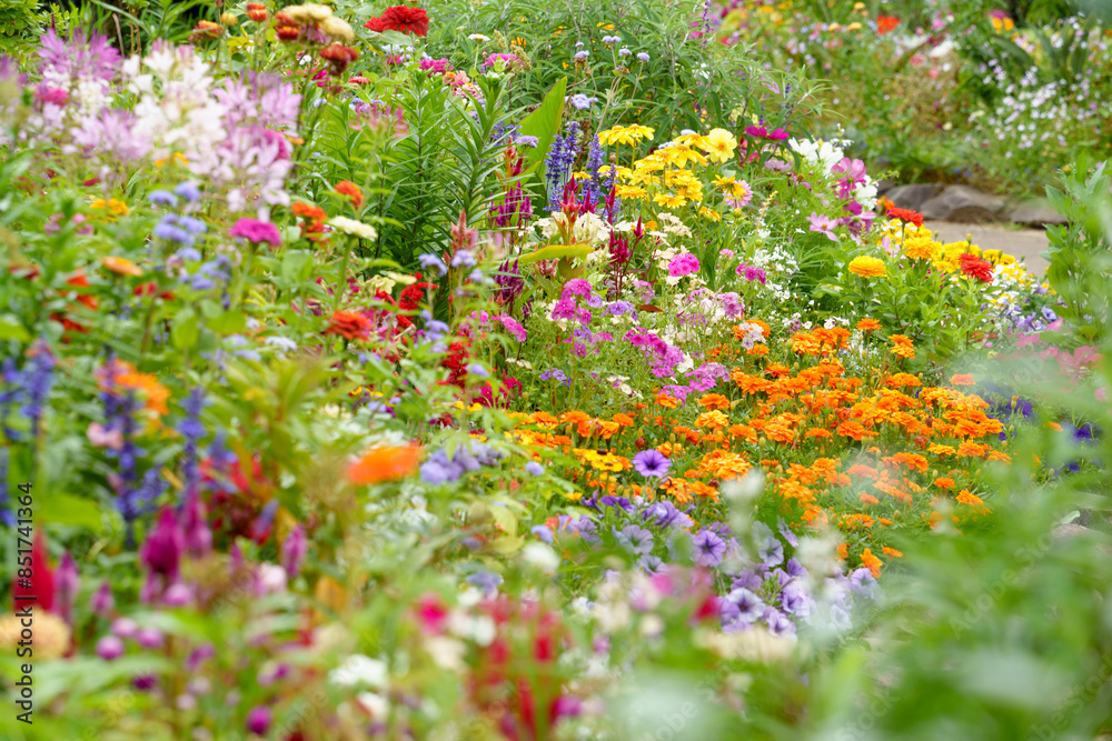 custom made wallpaper toronto digitalさまざまなカラフルな花が咲き乱れるイングリッシュガーデンの花壇