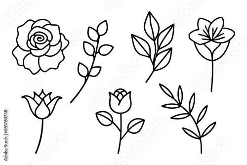 Set of hand-drawn botanical flowers line art vector. Collection of foliage, leaf branches, floral, flowers, roses, and line art