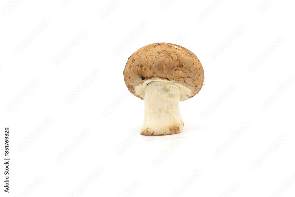Fresh champignon mushrooms isolated on a white background. full depth of field. Fresh champignon mushrooms isolated on a white background. full depth of field.