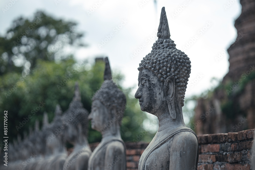 Obraz premium A serene row of ancient Buddha statues in a historic temple, with the foreground statue prominently detailed against a softly focused background. Wat Yai Chai Mongkol Ayutthaya , Thailand 