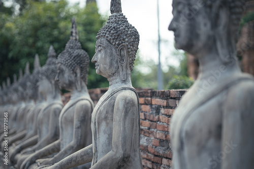A serene row of ancient Buddha statues in a historic temple, with the foreground statue prominently detailed against a softly focused background.  Wat Yai Chai Mongkol  Ayutthaya , Thailand 