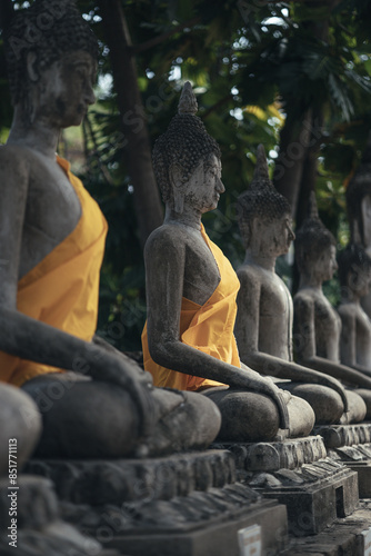 A serene row of ancient Buddha statues in a historic temple, with the foreground statue prominently detailed against a softly focused background.  Wat Yai Chai Mongkol  Ayutthaya , Thailand 