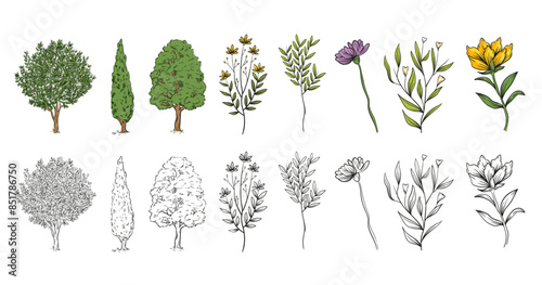 Ensemble d'arbres, fleurs, plantes, branches -Illustration au trait, contour noir et couleurs - Style fait-main,  à main levée - Éléments vectoriels éditables - Végétal, feuilles, troncs - Nature