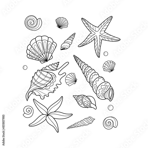 Set with starfish and shells. Coloring book for children. Summer coloring pages. Vector line art
