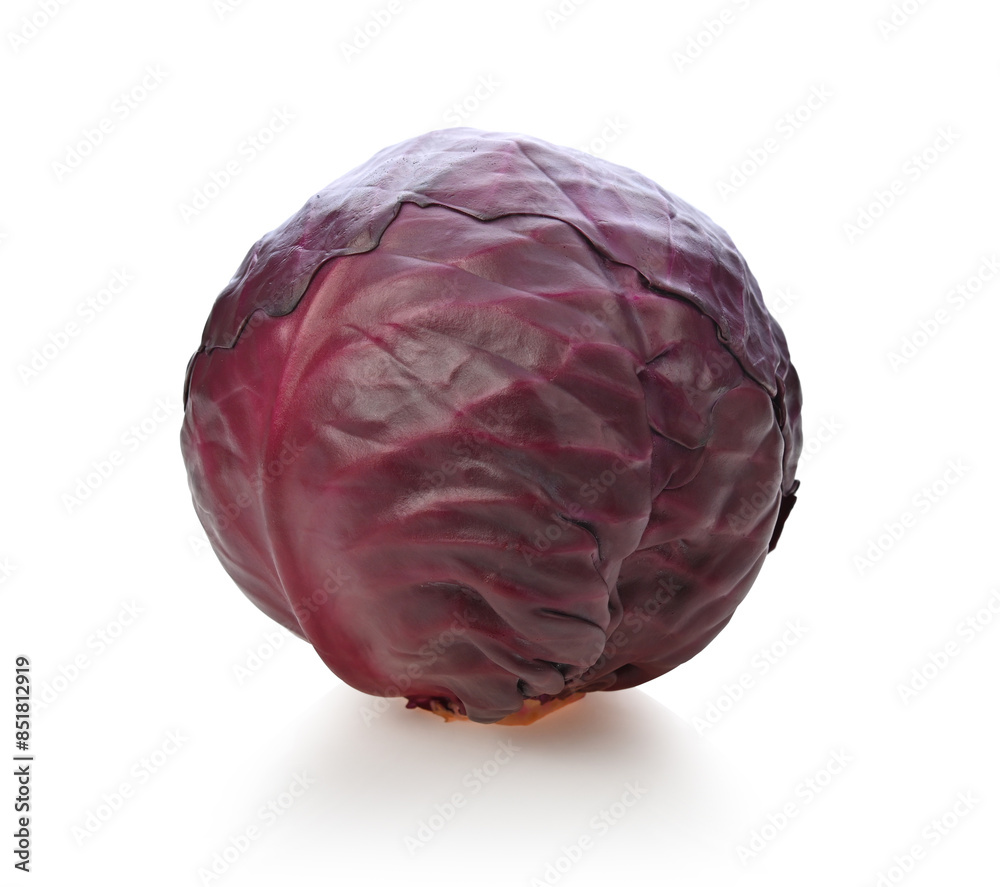 cabbage isolated on background