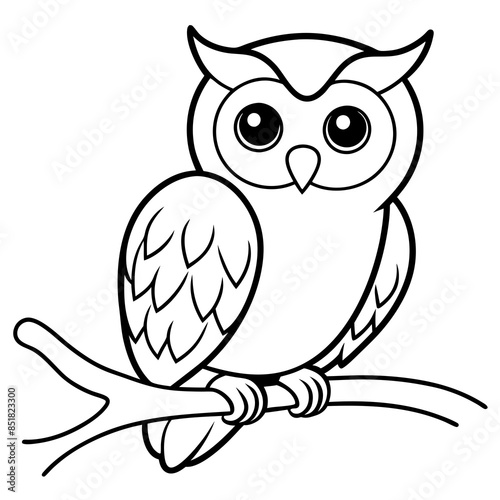 Owl Vector line art and silhouette illustration photo