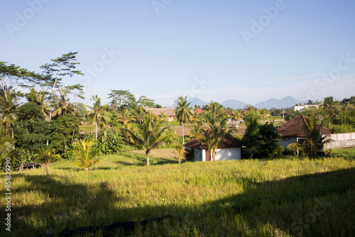 Obraz na płótnie Beautiful view of a typical Bali village, Indonesia w salonie