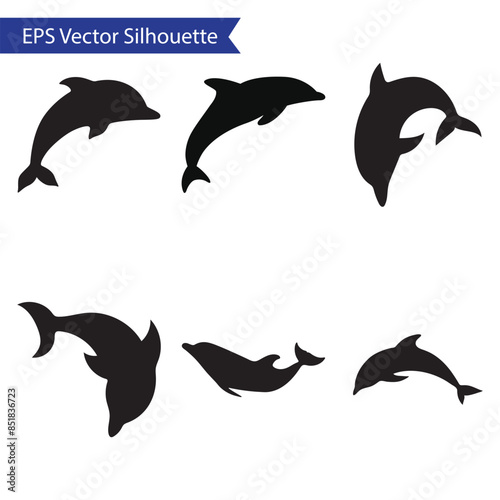 Dolphin Silhouette icon Set. Vector illustration eps