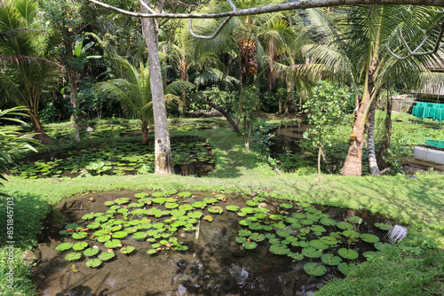 tropical garden close to an temple