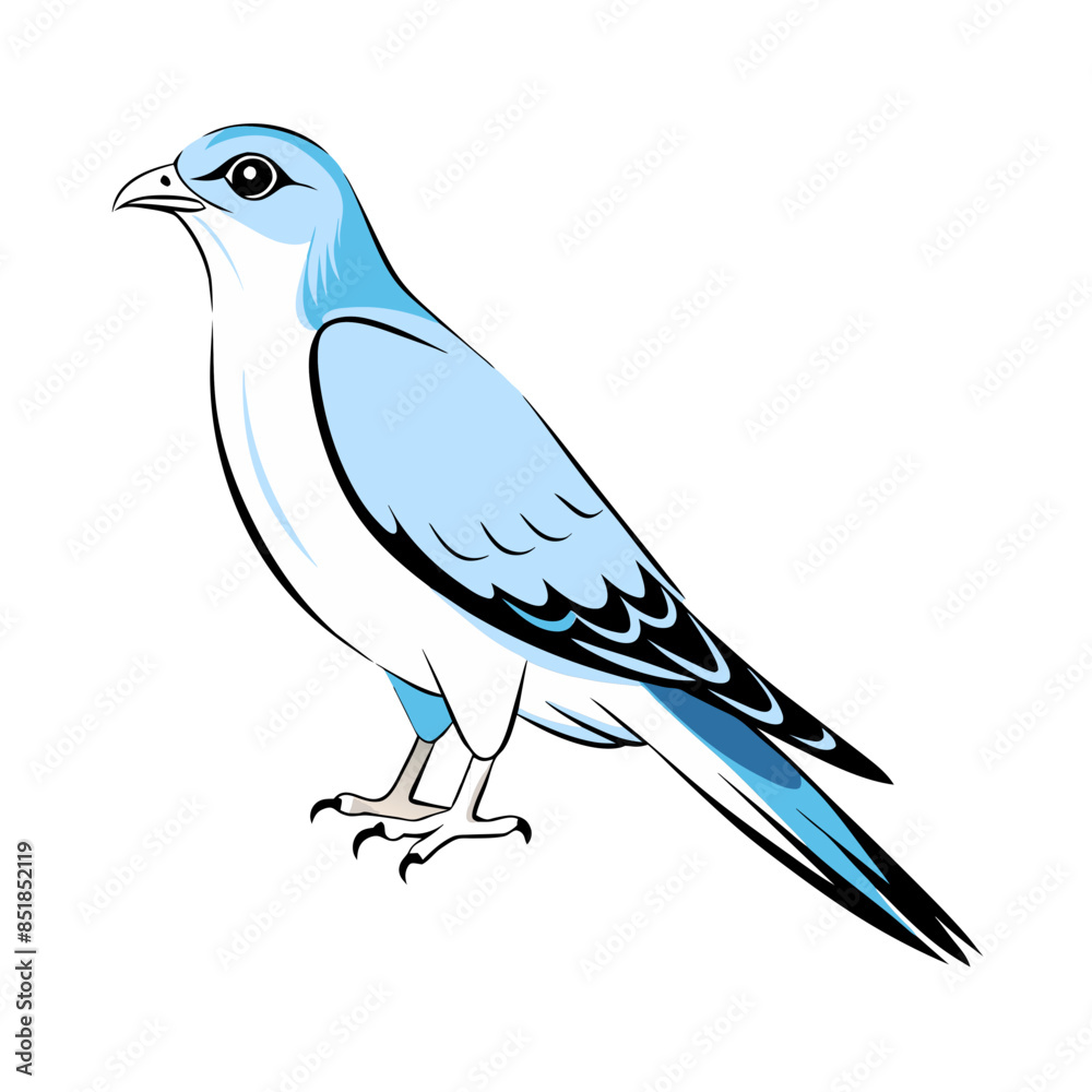 Fototapeta premium detailed vector illustration of a blue jay with vibrant blue and white feathers.