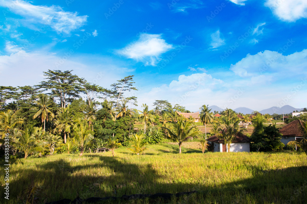 Beautiful view of a typical Bali village, Indonesia