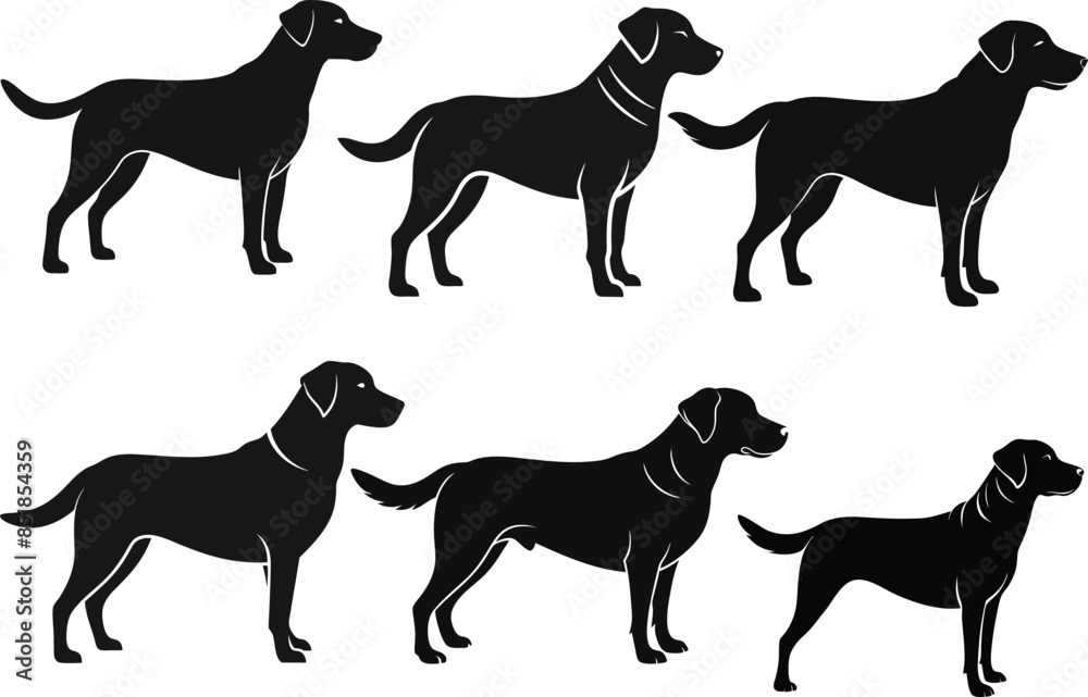 Dog silhouette bundle ,Dog vector,Dog outline,Dog silhouette
