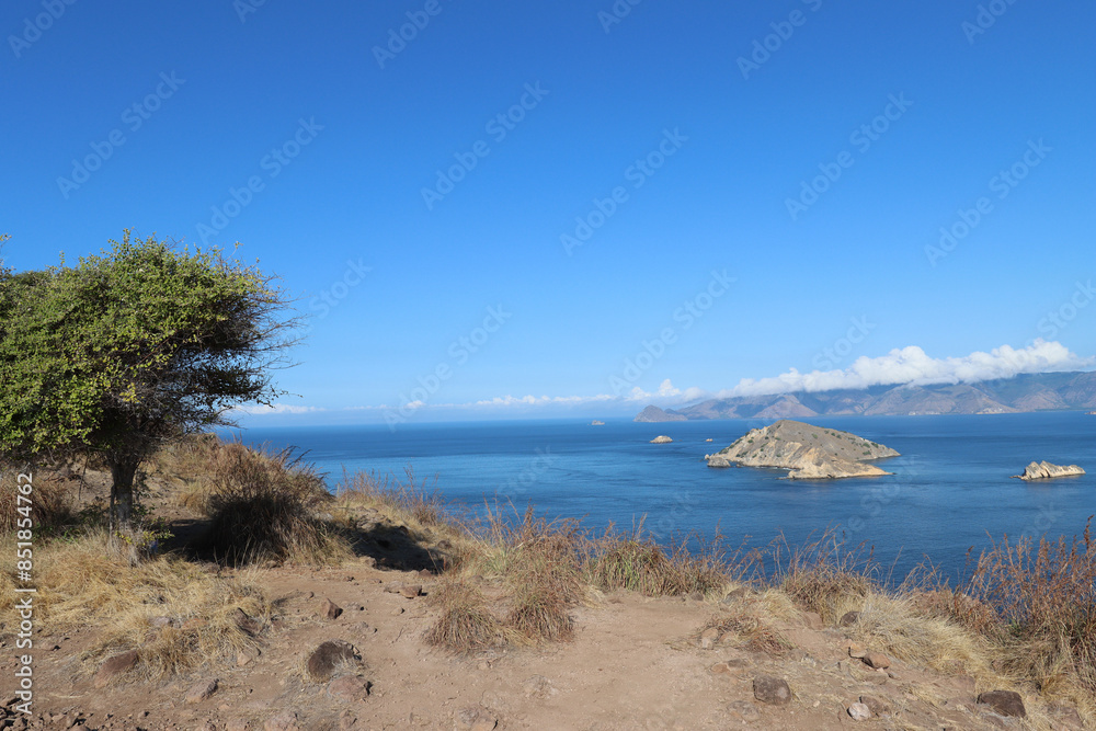 Landscape with tree, island and Indian Ocean Landscape with tree, island and Indian Ocean