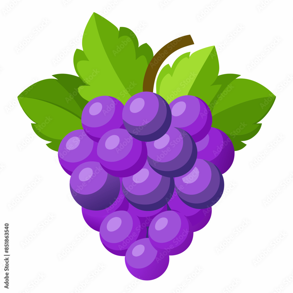 grapes isolated on white grapes isolated on white