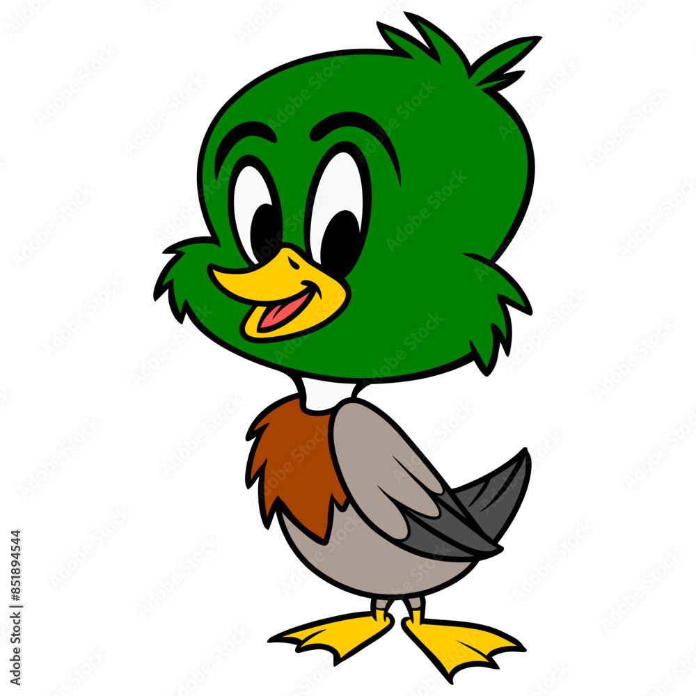 Mallard Duck Mallard Duck