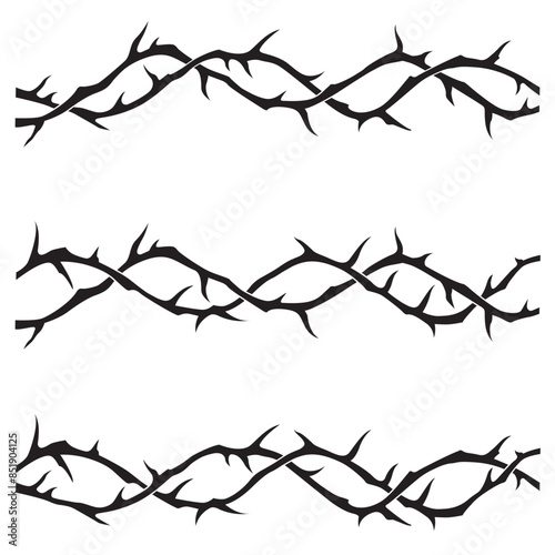 black crowns of thorns image isolated on white background
