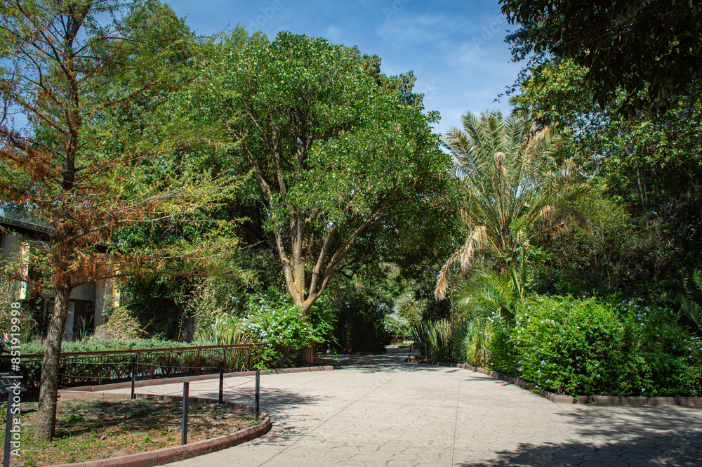 path in the park of chapultepec in mexico city path in the park of chapultepec in mexico city