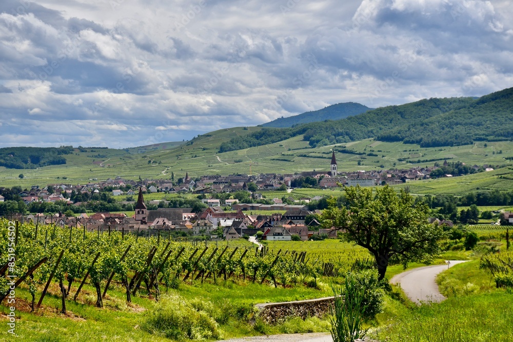 Naklejka premium Enjoying ther Alsace